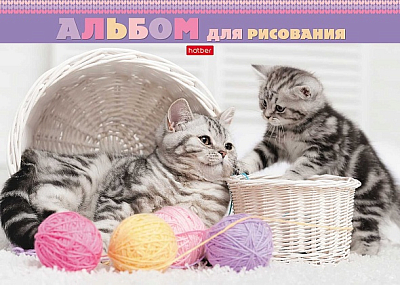 Альбом для рисования "Hatber", 24л, А4, жёсткая подложка, обложка мелованная бумага, ламинация, отрывная склейка, серия "Котята и клубочки"