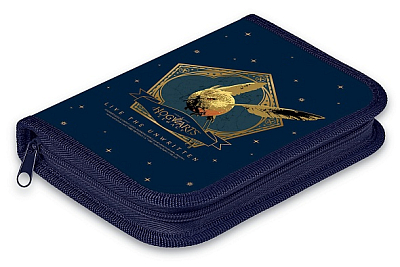 Пенал "Hatber", 190х130мм, 1 отделение, на молнии, откидная планка, ламинация, серия "Гарри Поттер"