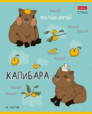 Тетрадь "Hatber", 48л, А5, клетка, на скобе, серия "Реально крутой капибара"