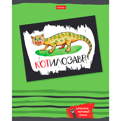 Тетрадь "Hatber", 48л, А5, клетка, на скобе, серия "Спасите котика"