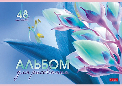 Альбом для рисования "Hatber", 48л, А4, тиснение, пластиковая обложка, на скобе, серия "Грация цветов"