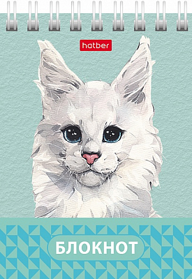 Блокнот "Hatber", 40л, А7, клетка, обложка мелованный картон, на гребне, серия "Глазки, ушки, носик"