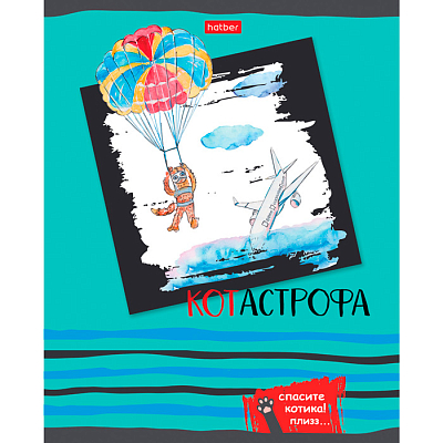 Тетрадь "Hatber", 48л, А5, клетка, на скобе, серия "Спасите котика"